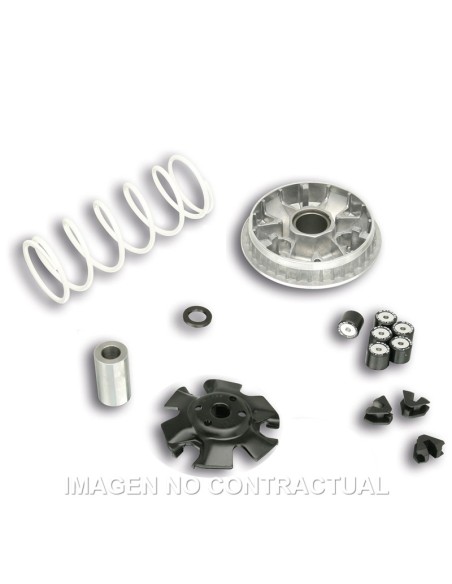 VARIADOR MALOSSI MULTIVAR SYM FIDDLE LI 125 