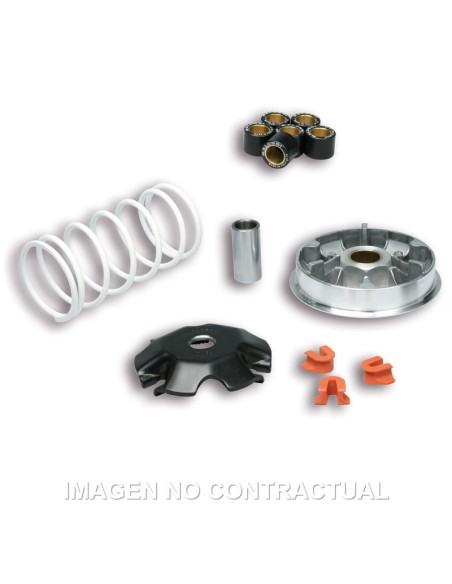 VARIADOR MALOSSI MULTIVAR HONDA LEAD 110 