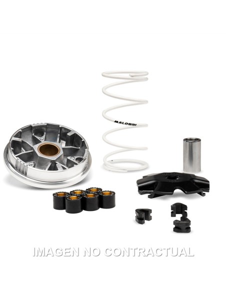 VARIADOR MALOSSI MULTIVAR RIEJU BYE BIKE ONE 