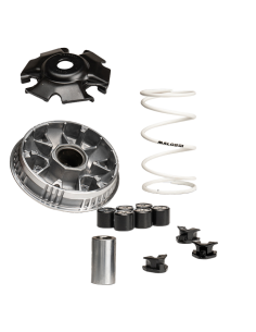 VARIADOR MALOSSI MULTIVAR SYM JET X 125 IE E5 