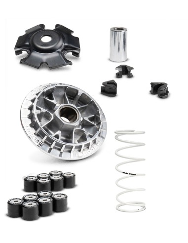 VARIADOR MALOSSI MULTIVAR 2000 HONDA SH 125 