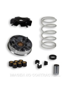 VARIADOR MALOSSI MULTIVAR HONDA DIO, KYMCO HEROISM 