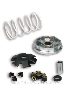 VARIADOR MALOSSI MULTIVAR PEUGEOT BUXY ZENITH, SPEEDAKE 