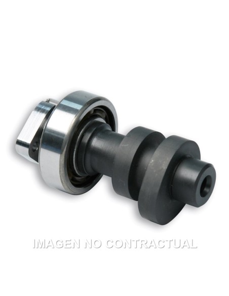 ÁRBOL DE LEVAS MALOSSI POWER CAM HONDA SH 300 