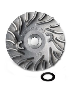 SEMIPOLEA VENTILVAR MALOSSI AEROX 100 