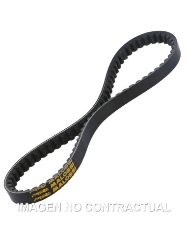 CORREA TRANSMISION MALOSSI HONDA WALLAROO 50 