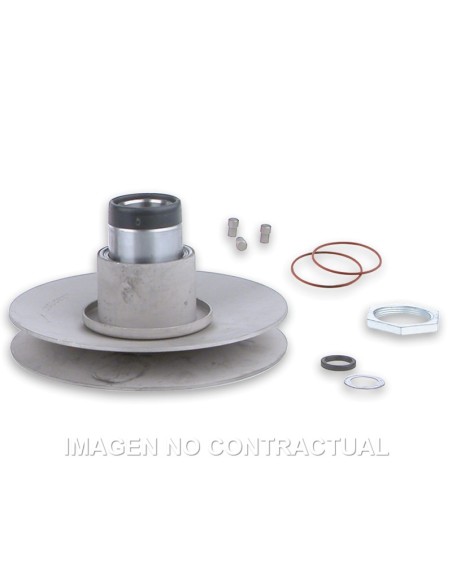 SEMIPOLEAS DE EMBRAGUE MOTOR MINARELLI 