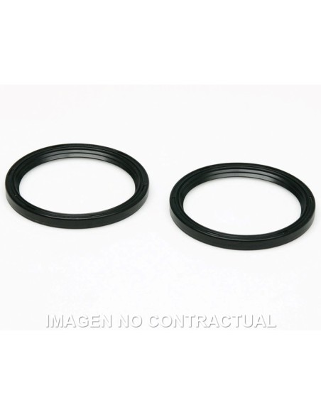 JUEGO RETENES ACEITE MALOSSI 48X41X4 