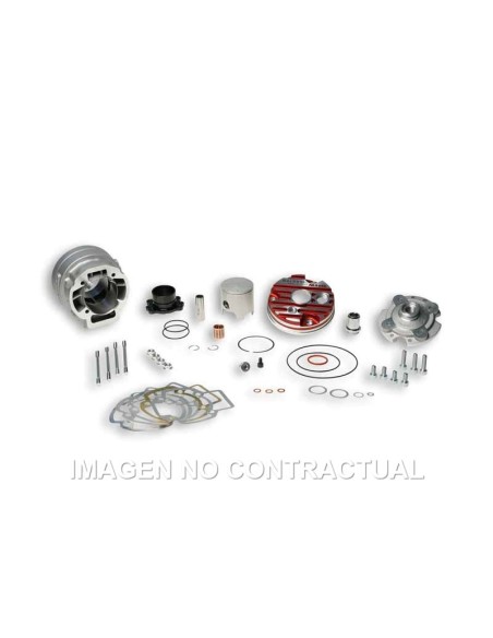 Grupo térmico Malossi D.52 mm. Piaggio 50