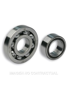 COJINETES MALOSSI D.25 SPORT VESPA PX 200 