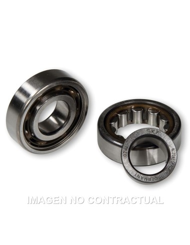 JUEGO COJINETES MALOSSI D. 20 MINARELLI/PIAGGIO 50