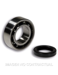 KIT DE COJINETE Y RETEN ACEITE MALOSSI VESPA 