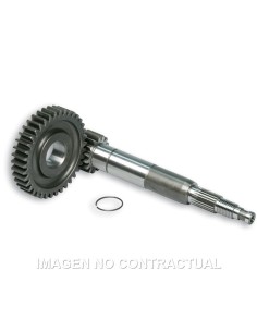 DESARROLLO PRIMARIO LARGO ZIP SP 2000 