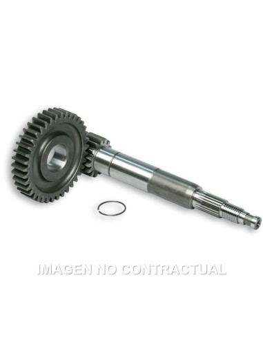 DESARROLLO PRIMARIO LARGO ZIP SP 2000 