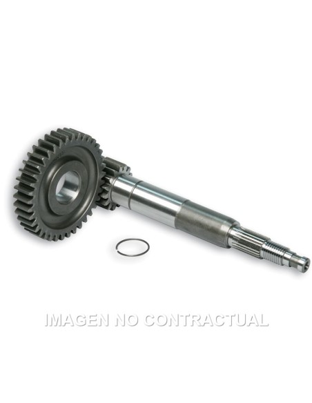 DESARROLLO PRIMARIO LARGO ZIP SP 2000 