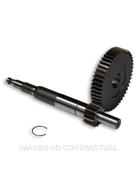 DESARROLLO PRIMARIO LARGO GILERA DNA 