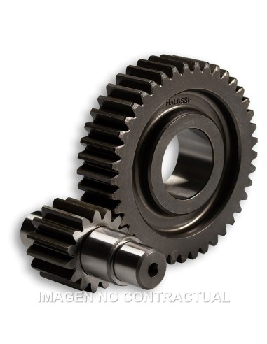 DESARROLLO SECUNDARIO HTQ 15/41 MOTOR LEADER 