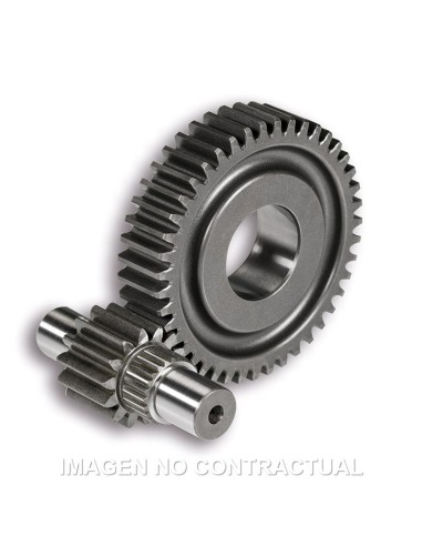 DESARROLLO SECUNDARIO MALOSSI VESPA GTS 125 