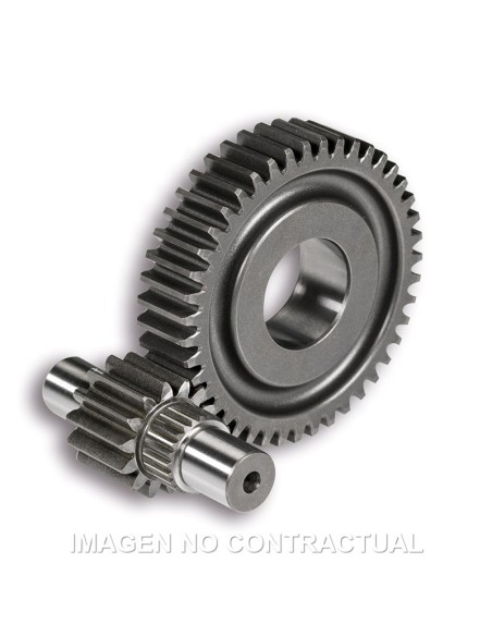 DESARROLLO SECUNDARIO MALOSSI VESPA GTS 125 