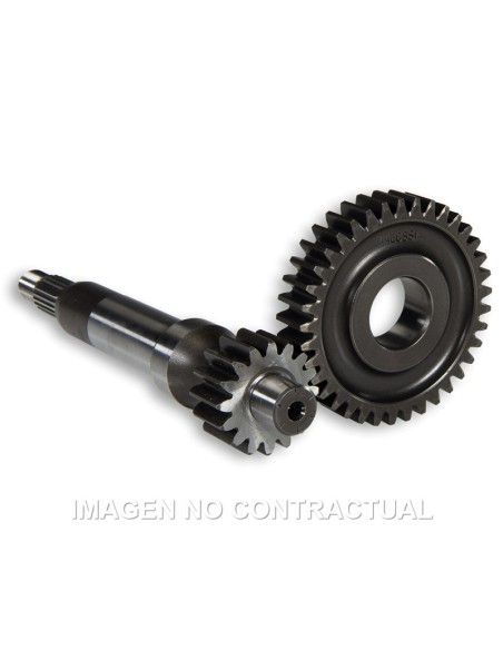 DESARROLLO LARGO PIAGGIO ZIP SP ZIP FAST RIDER 95 