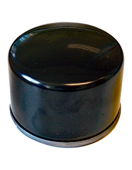 FILTRO ACEITE SGR BMW F 800