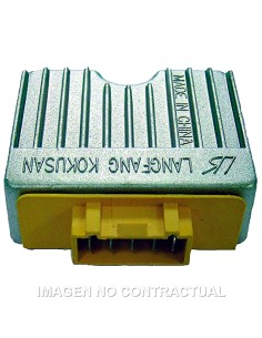 REGULADOR 12V/12A - CA/CC - CON INTERMITENCIA - 5 FASTONS