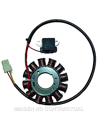 STATOR DUCATI 12 POLOS 120W
