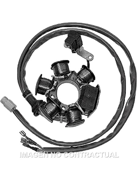 STATOR SGR 6 POLOS 12V 90W (MOTOR PIAGGIO 50 2T)