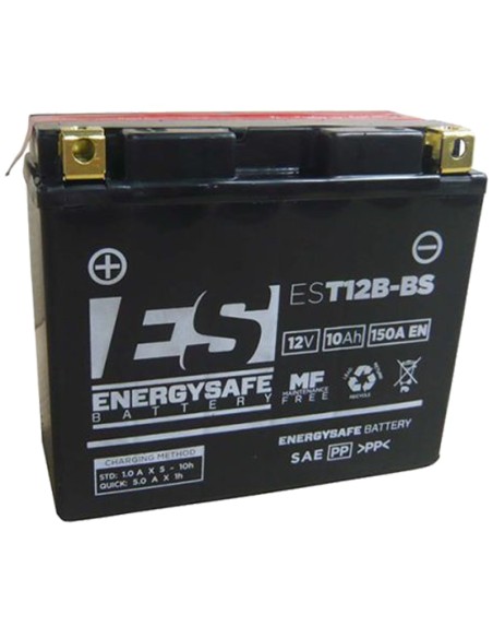 BATERÍA ENERGYSAFE EST12B-BS SIN MANTENIMIENTO