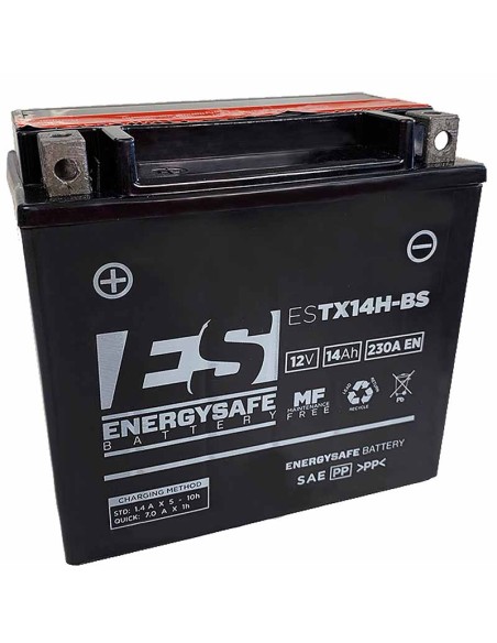 BATERÍA ENERGYSAFE ESTX14H-BS ALTO RENDIMIENTO
