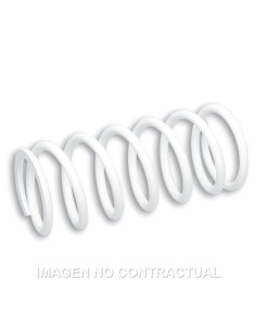 MUELLE REFORZADO AMORTIGUADOR DELANTERO RS24 MALOSSI