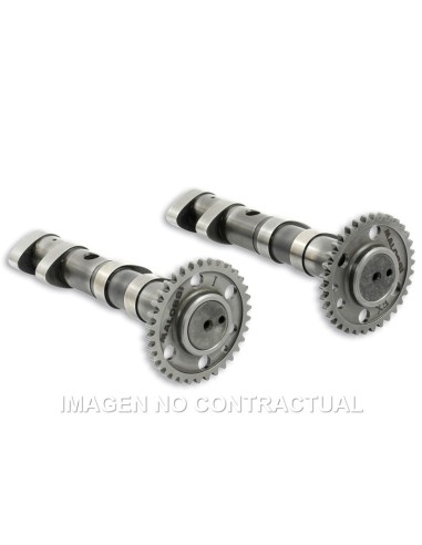 ARBOL DE LEVAS DOBLE YAMAHA T-MAX 500