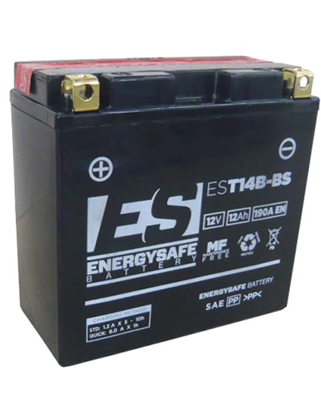 BATERIA ENERGYSAFE EST14B-BS SIN MANTENIMIENTO