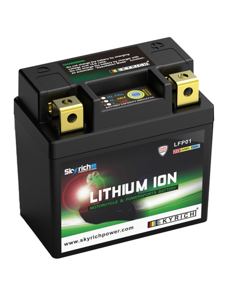 BATERIA SKYRICH LITIO LFP01