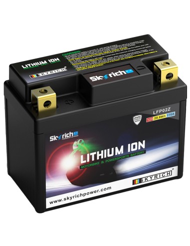 BATERIA LITIO SKYRICH LFP02