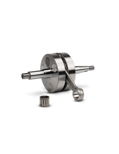 CIGUEÑAL MALOSSI MHR TEAM MINARELLI BULON 14 AM6