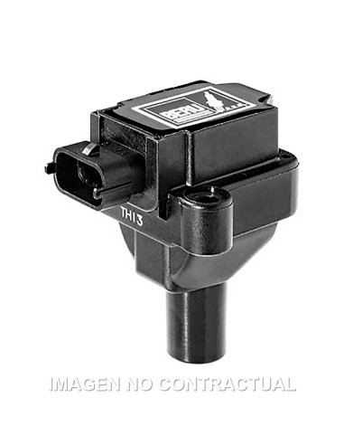 BOBINA BERU 12V BMW F 650GS