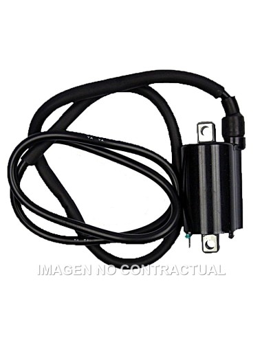 BOBINA 12V - CC - 4,5 OHM - 2 FASTONS - CON CABLE 110 CM