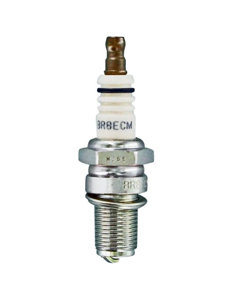 BUJIA NGK BR8ECM