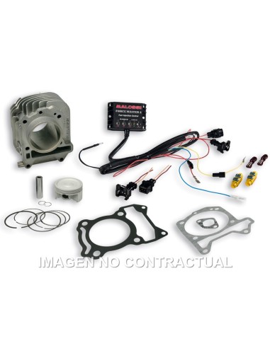CILINDRO COMPLETO MALOSSI I-TECH PIAGGIO LIBERTY IGET 125