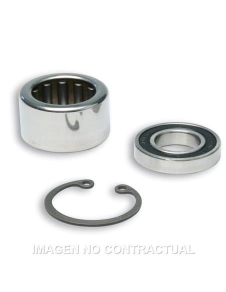 KIT DE REVISION PARA POLEAS MALOSSI 619733