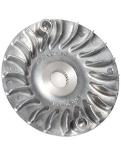 SEMIPOLEA VENTILVAR MALOSSI PIAGGIO LIBERTY IGET