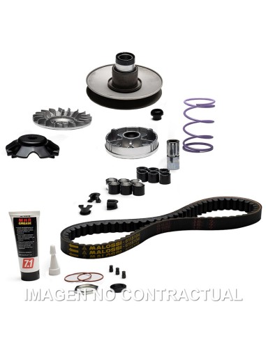 OVER RANGE MALOSSI PIAGGIO ZIP FAST RIDER