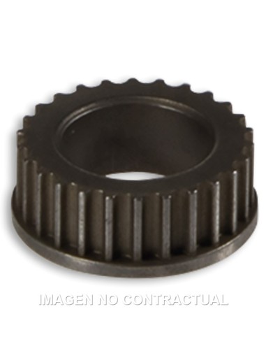 RUEDA CORREA BOMBA ACEITE CIGUEñAL 539703