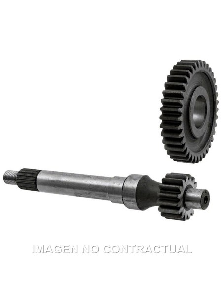 Desarrollo Eje Primario Piñón Piaggio Typhoon 95 