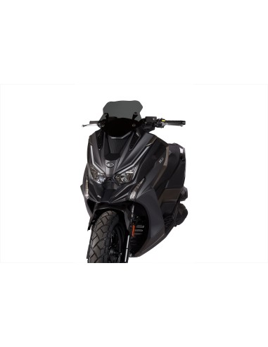CUPULA MALOSSI SPORT SCREEN KYMCO DT X360 4T EURO5  AHUMADO
