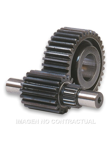 DESARROLLO SECUNDARIO 14/43 MAJESTY 125