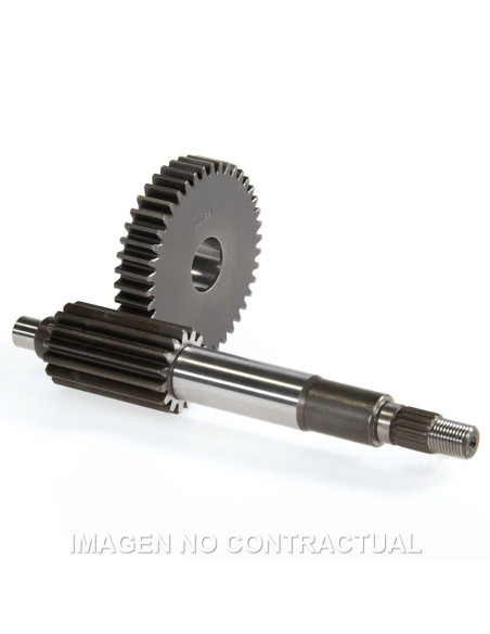 DESARROLLO LARGO AEROX 100, NEOS 100 15/42