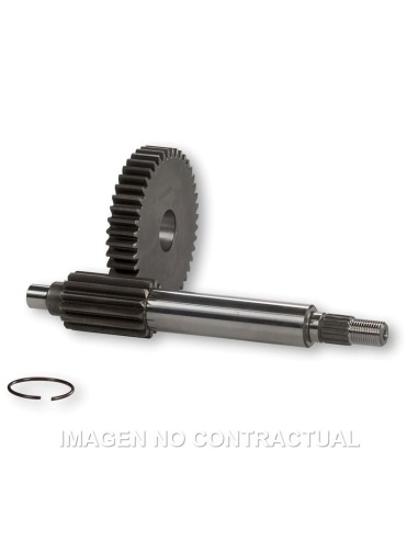 DESARROLLO PRIMARIO HTQ 15/38 PIAGGIO NRG MC-3