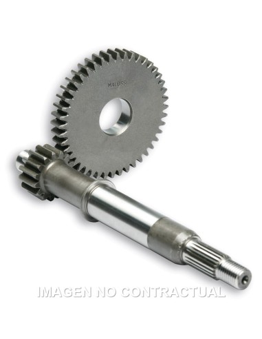 DESARROLLO PRIMARIO MALOSSI 15/44 SYM JET SPORT 50